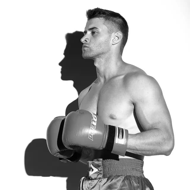 boxer