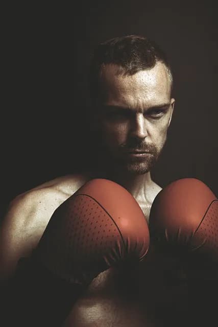 boxer