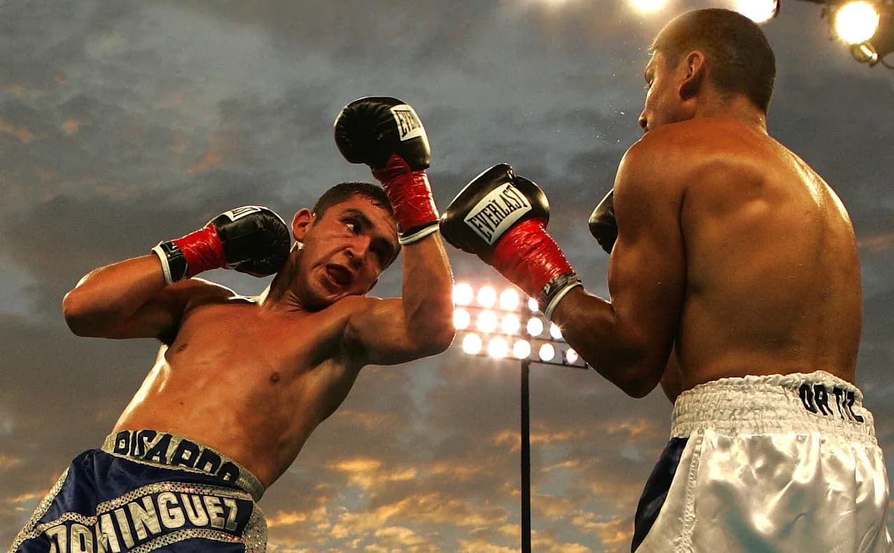 2 boxers