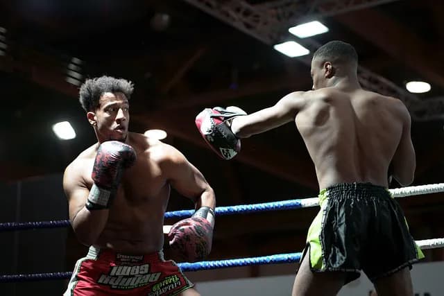 2 boxers