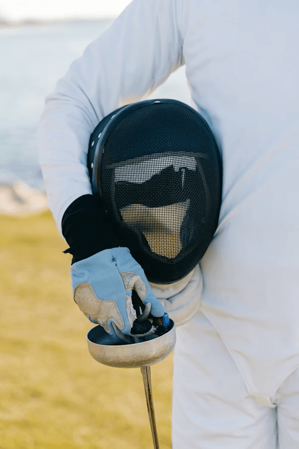 Fencing Art 2