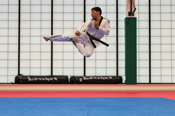 Judo Art 2