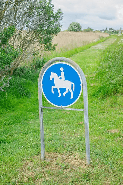 Equestrianism Art 2