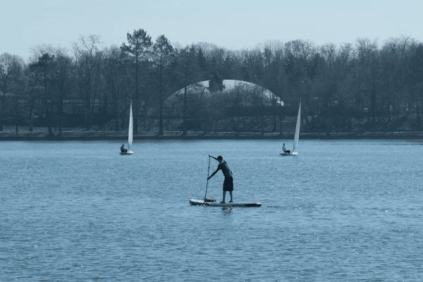 Stand-up Paddle Racing Art 1