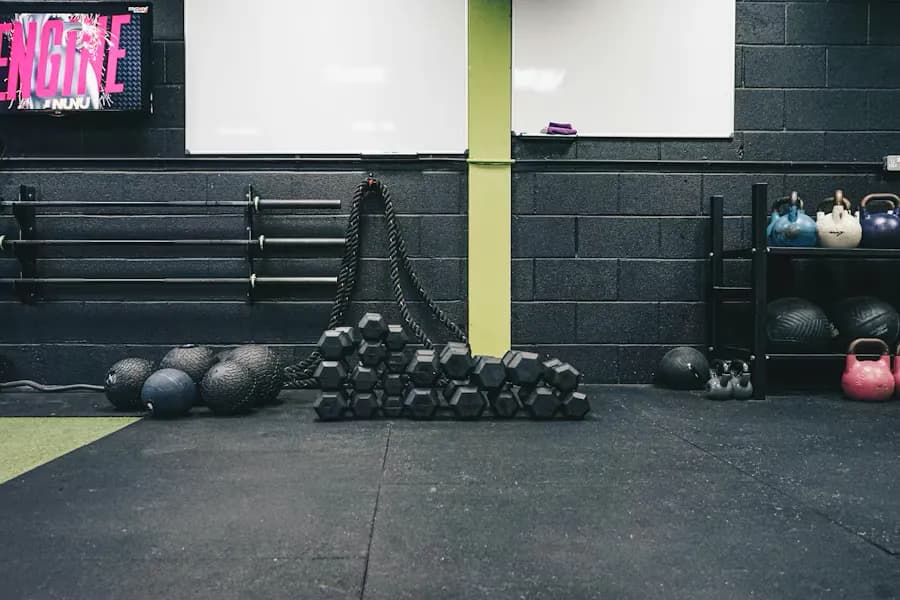 Fitness: Current Art 2