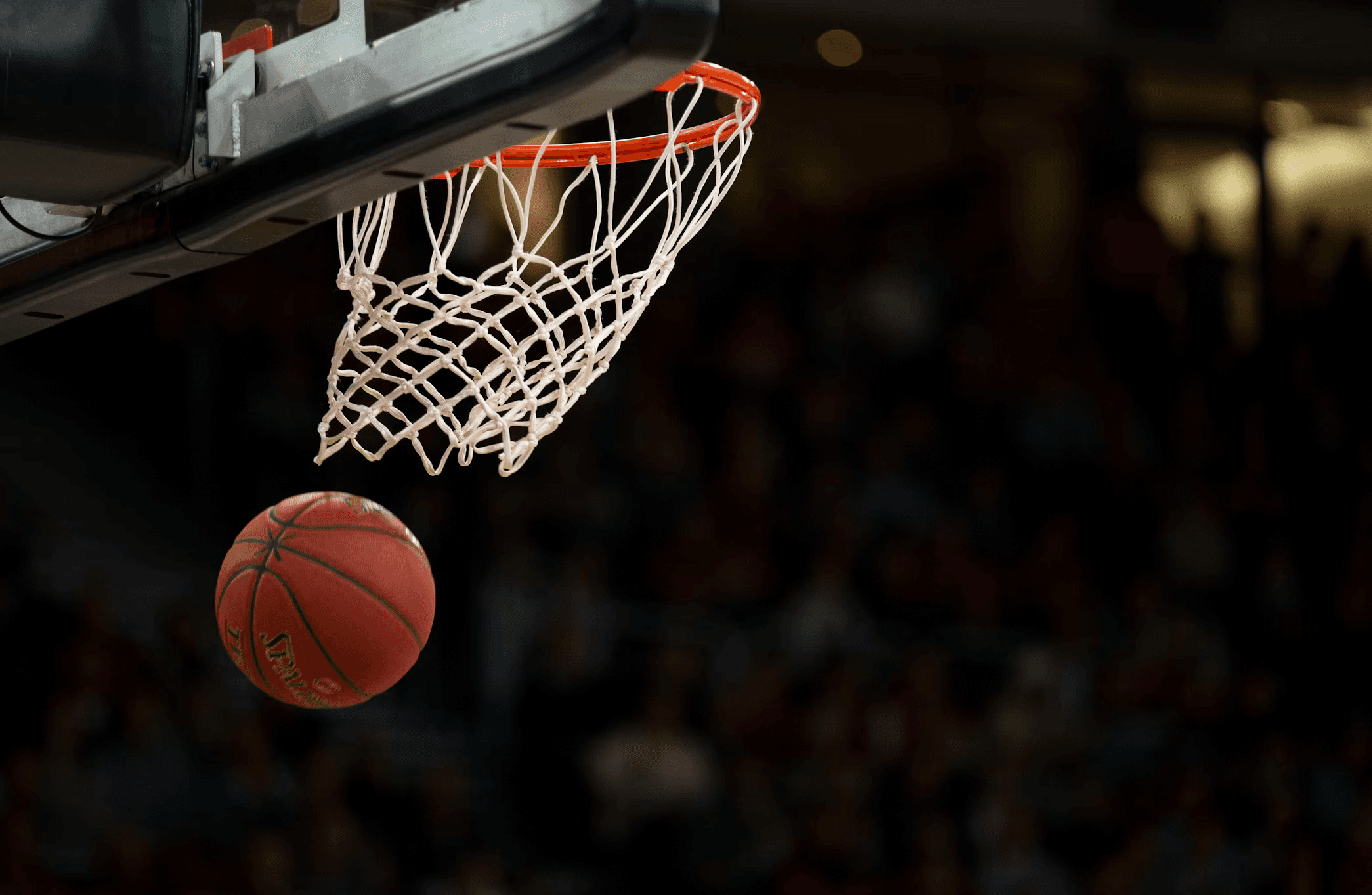 Basketball Art