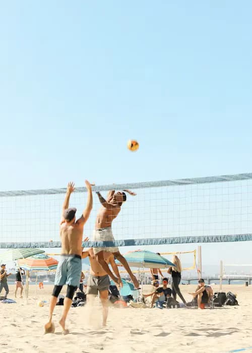 volleyball men