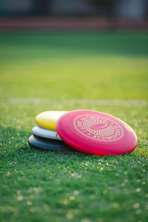 Frisbees