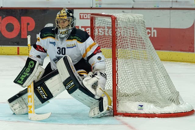 hockey goalie