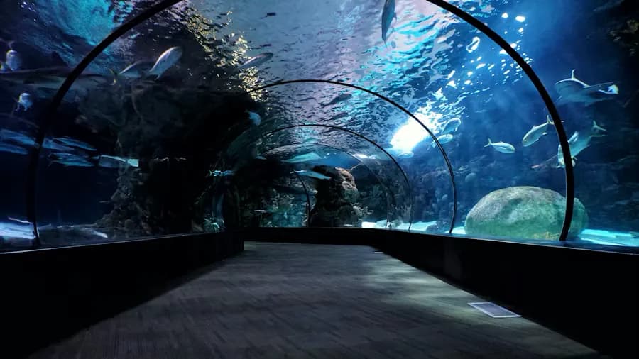 Aquariums: Current Art 2