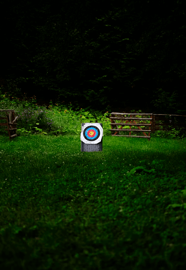 Archery Art 2
