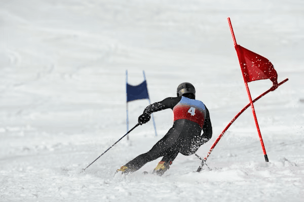 Biathlon Art 1