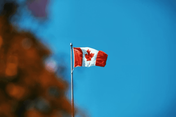 Canadian Football (CFL) Art 2