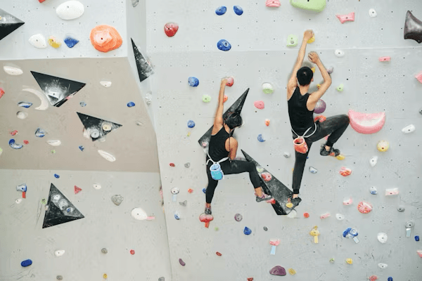 Climbing Art 2