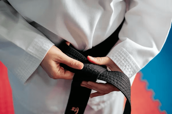 Judo Art 1