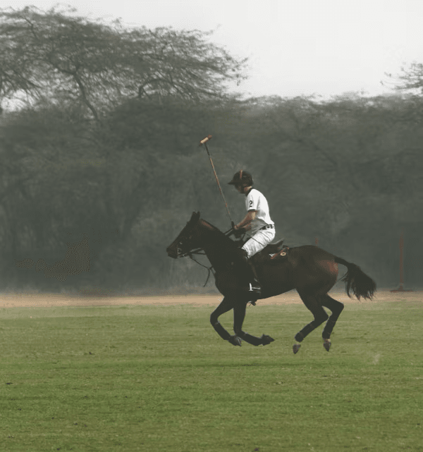 Polo Art 1