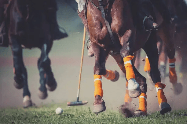Polo Art 2