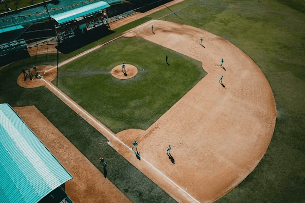 Softball Art 2