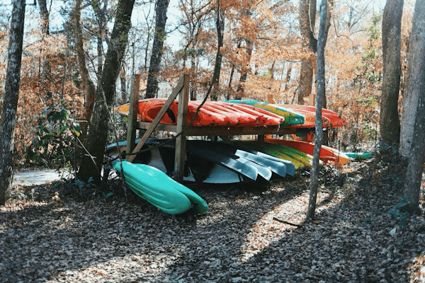 Canoe/Kayak Art 1