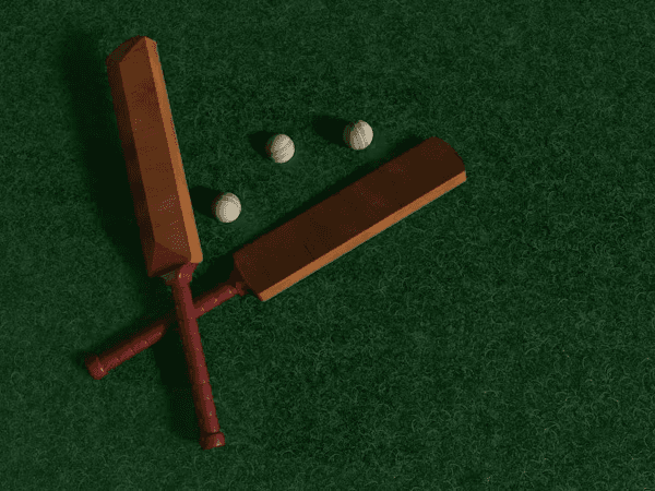 Cricket Art 1