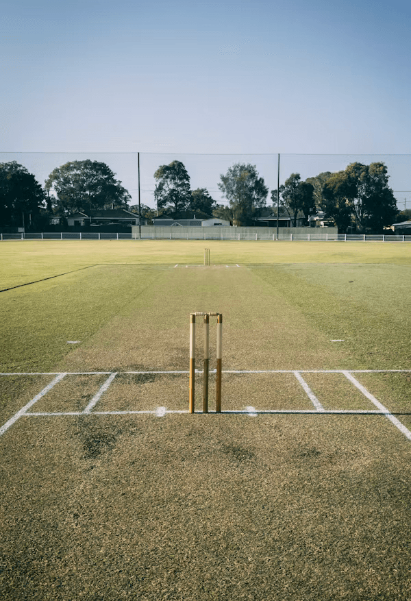 Cricket Art 2