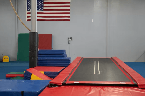 Gymnastics Art 1