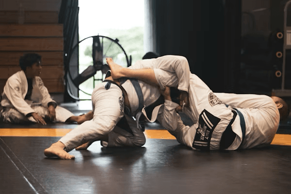 Karate Art 2
