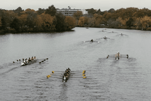 Rowing Art 1