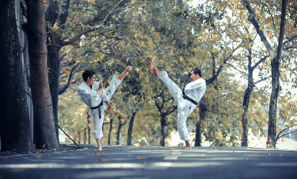 Taekwondo Art 1
