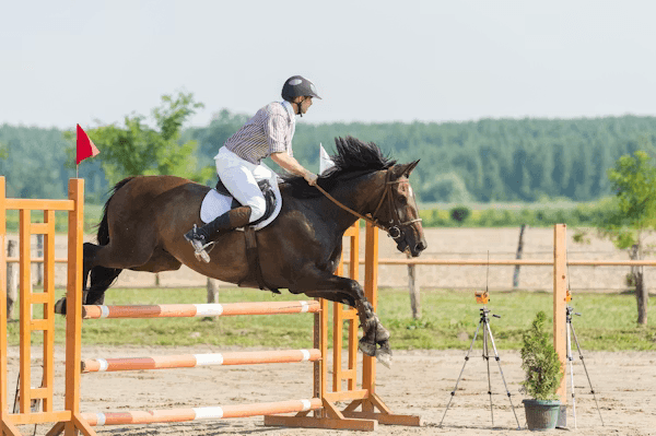 Equestrianism Art 1