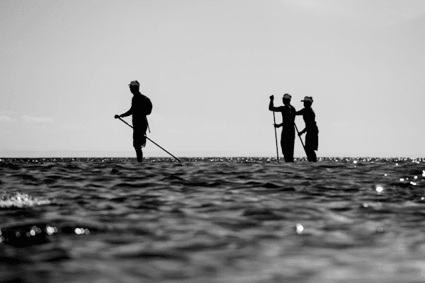 Stand-up Paddle Racing Art 2