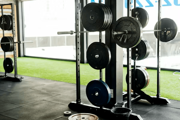 Weightlifting Art 2