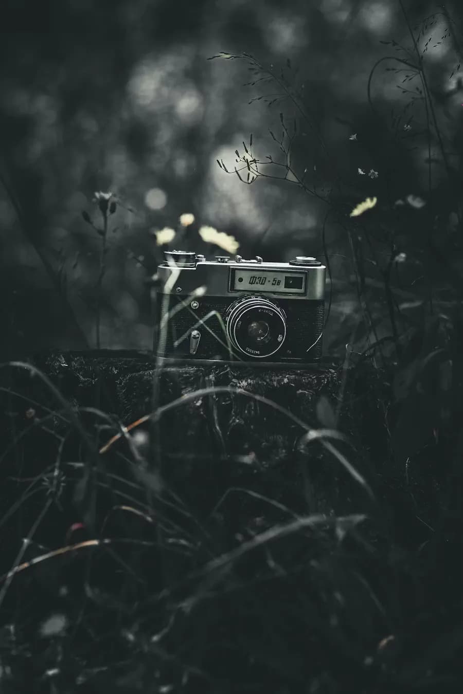 Photography: All-time Art 2