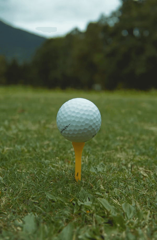 Golf & Disc Golf 1