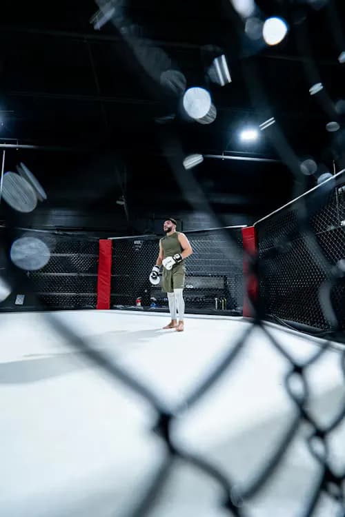 UFC