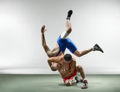 wrestling flip