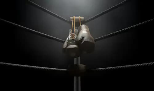 boxing gloves