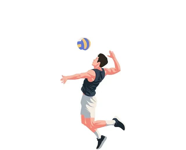 volleyball men